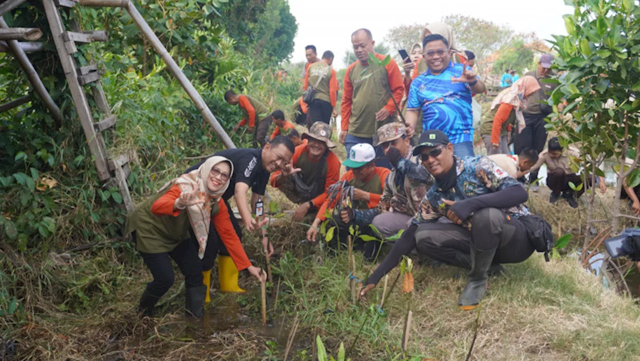 Sambut HUT RI ke-79 Pemkot Tegal Tanam 1.500 Bibit Pohon Mangrove