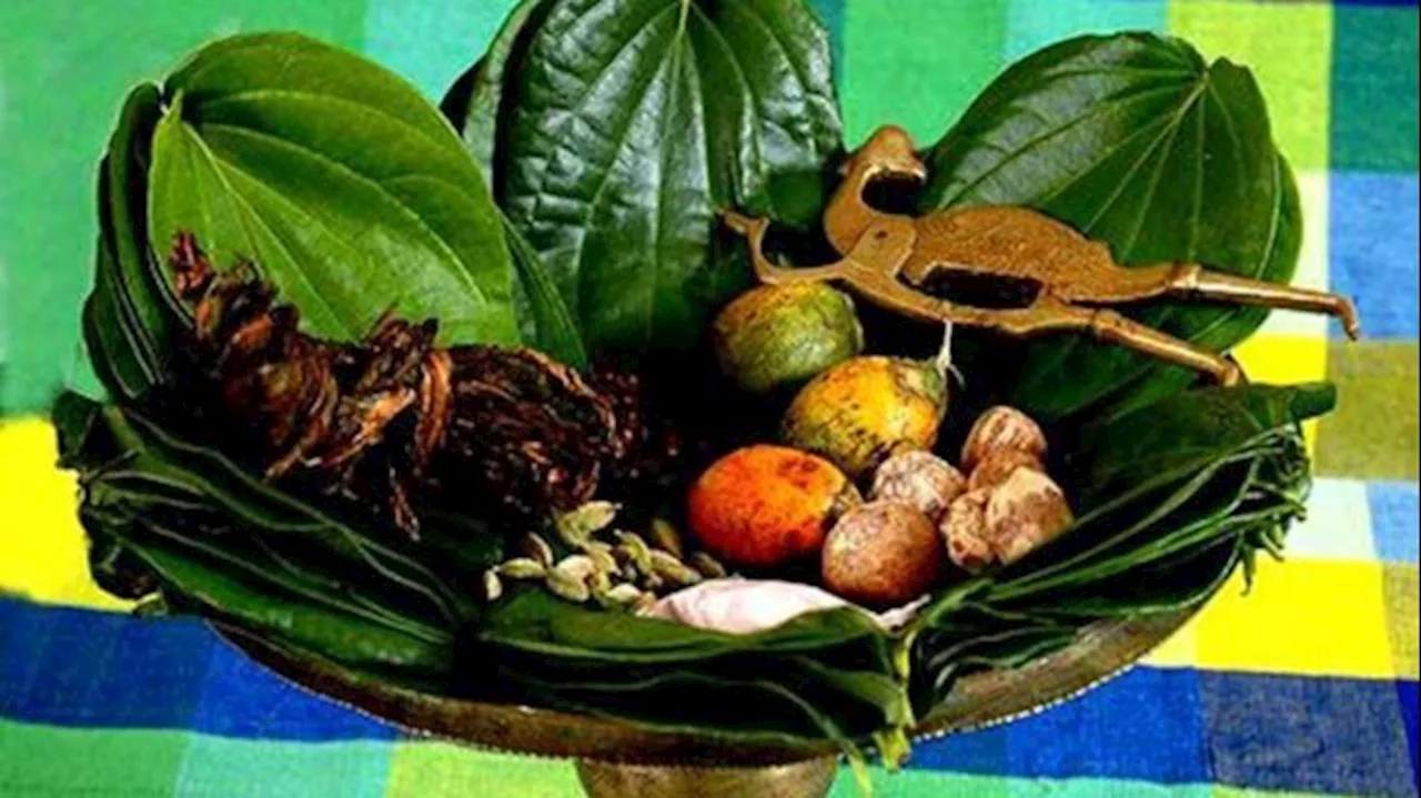 7 Resep Jamu Daun Sirih Khusus Kewanitaan yang Bisa untuk Keputihan dan Tanpa Bau