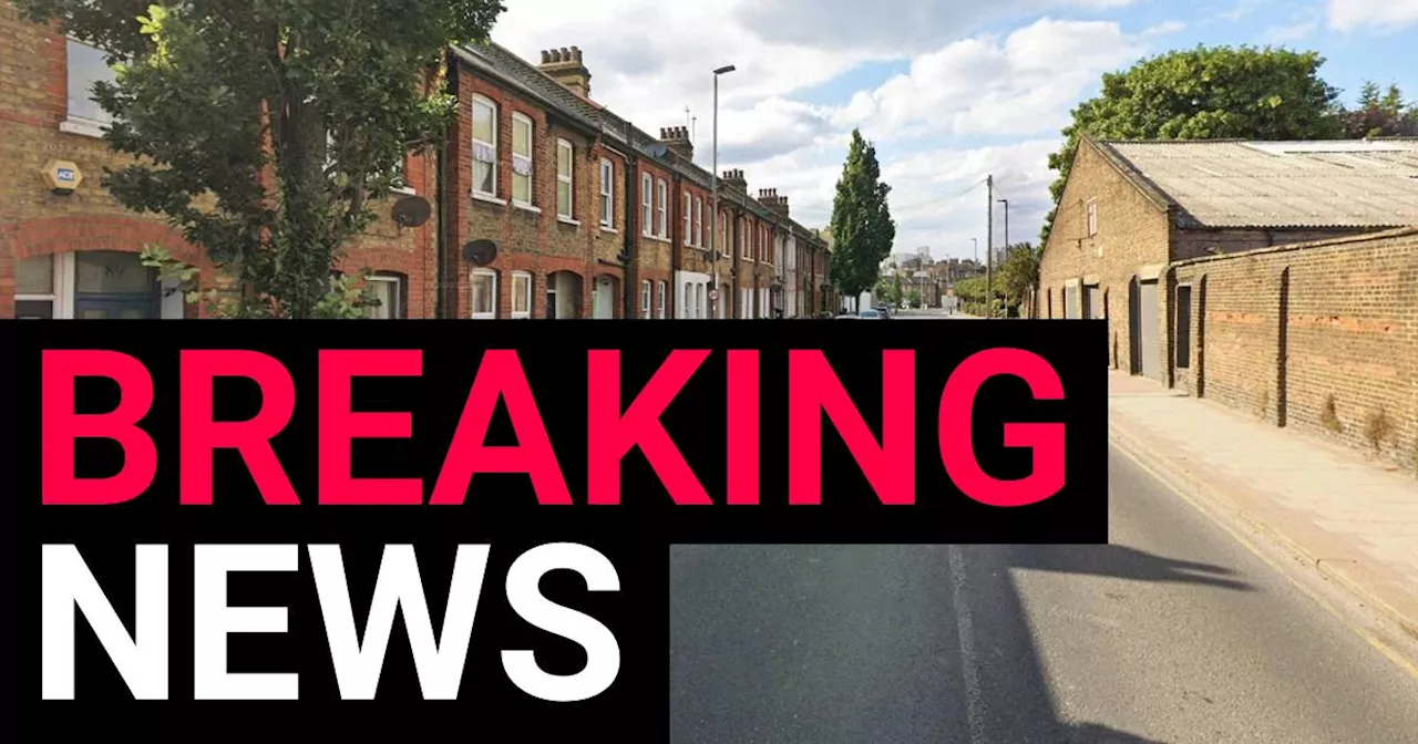 Woman, 23, dies from head injuries after being found on road in London