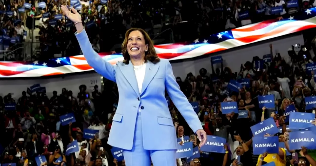 DNC chair says Harris has received enough delegate votes to become nominee