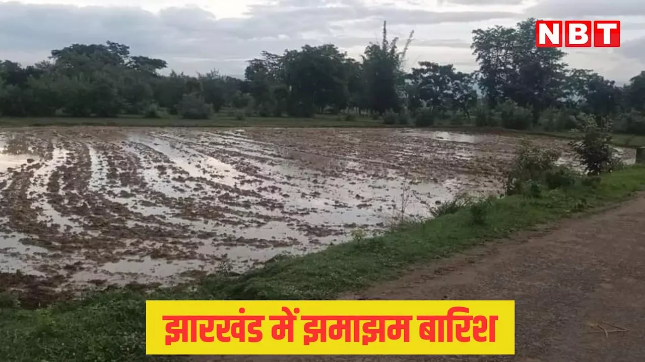 Jharkhand Weather: झारखंड के कई हिस्सों में 2 दिनों के दौरान भारी बारिश का अनुमान, IMD ने जारी किया येलो अलर्ट