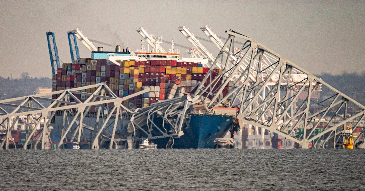 Video captures stunned police reaction after Baltimore bridge collapse: ‘One hell of a cleanup’