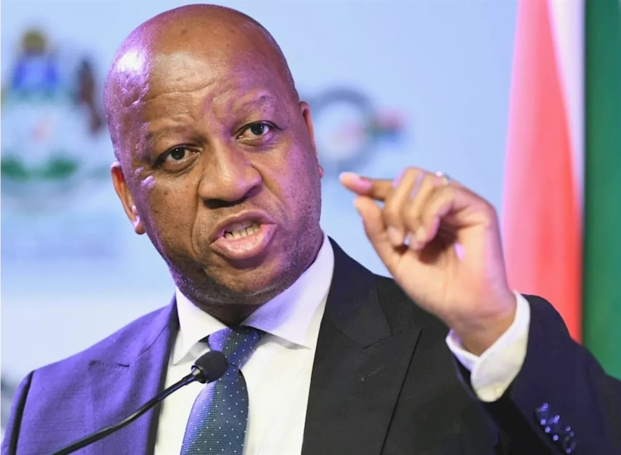 KZN premier calls for unity in tackling crime to revive investor confidence