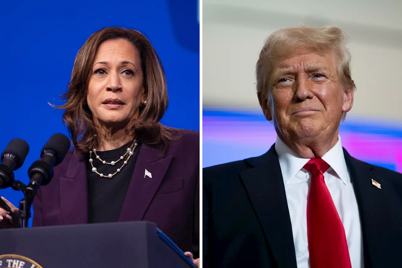 Kamala Harris Campaign Tells Donald Trump to 'Man Up'