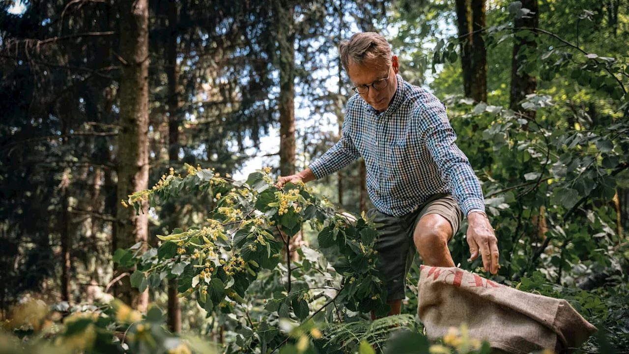 Ein Bier aus Linden und Alpen-Johannisbeeren