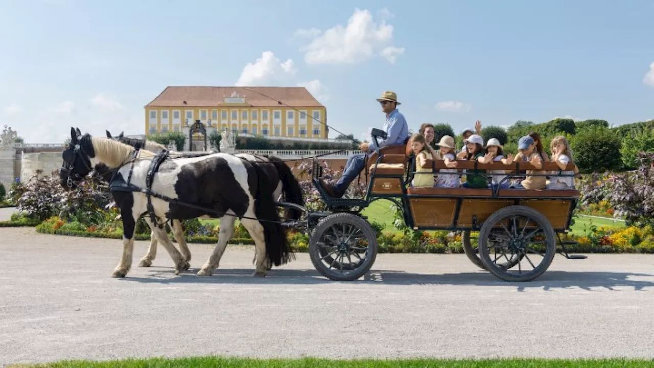 Großer Ferienspaß auf Schloss Hof