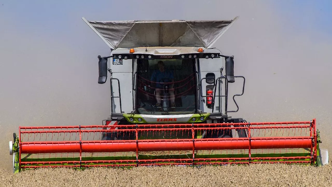 Sachsen-Anhalt: Landwirte unzufrieden mit der Ernte