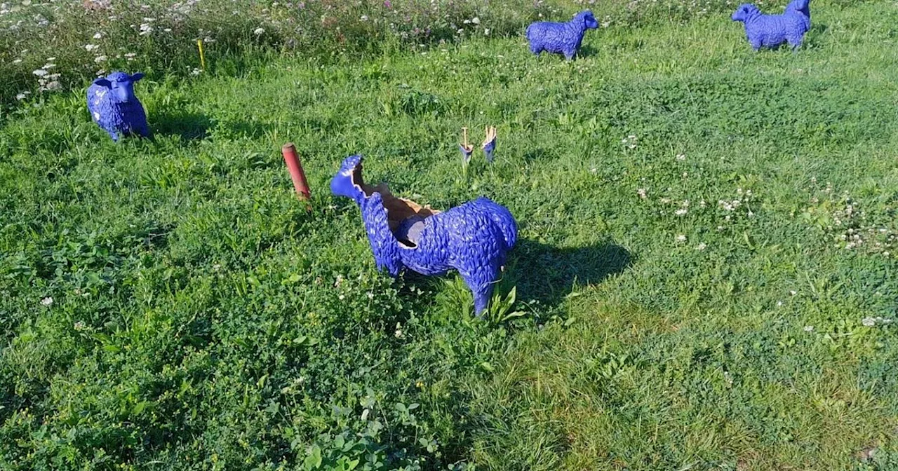 Vandalismus: Dem Förderverein der Landesgartenschau Höxter reicht’s