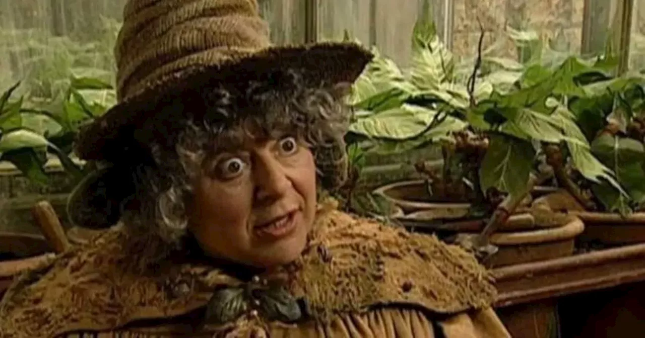 Harry Potter’s Miriam Margolyes blasted by co-star for ‘terrible’ put-down