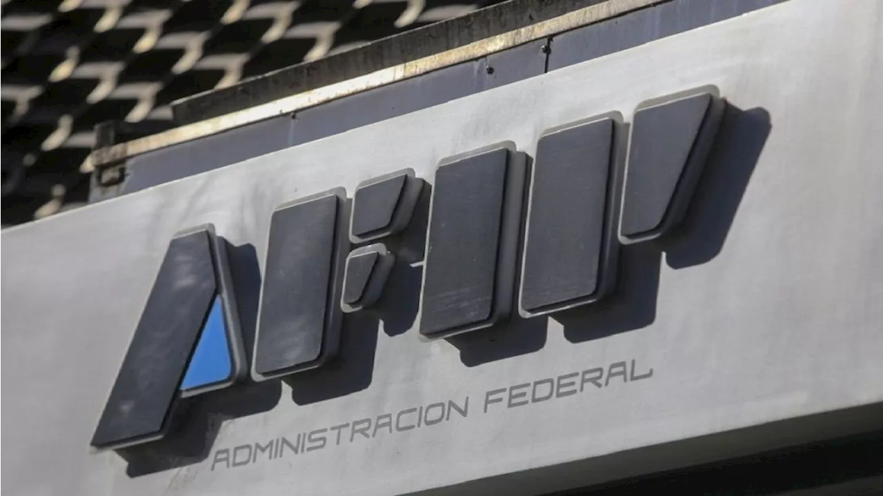 La AFIP detectó a un monotributista que compró un avión y un barco