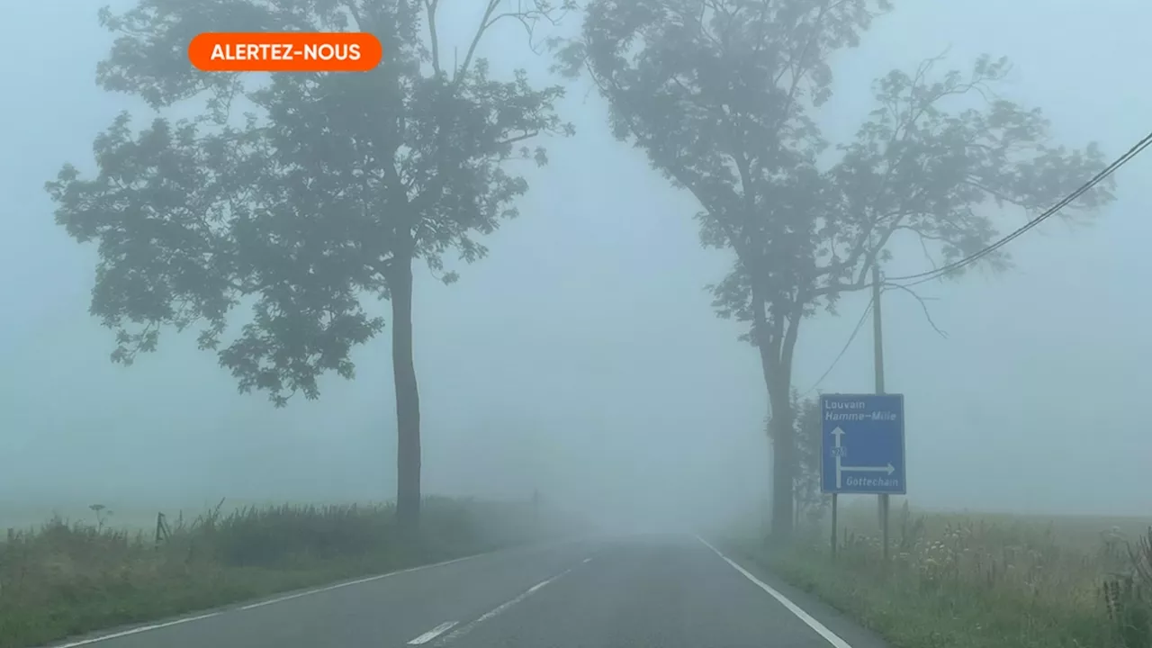 Du brouillard risque de vous surprendre sur les routes: voici un conseil pour éviter un accident