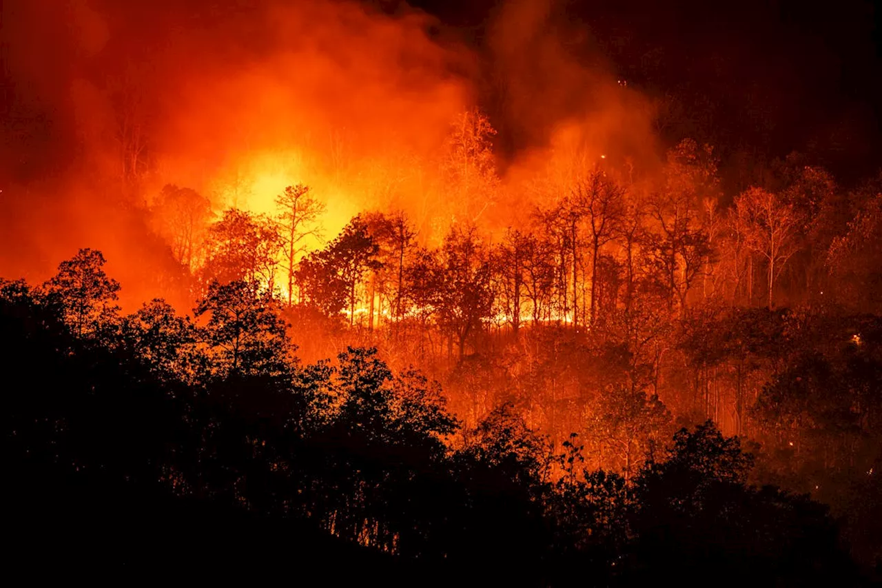 La fumée liée aux feux de forêt augmenterait le risque de démence, selon une étude