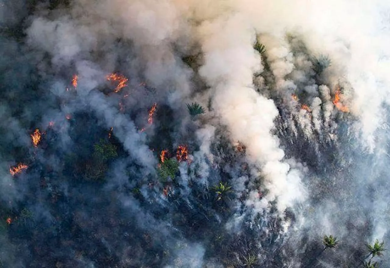 Brasil registra pior julho de queimadas em 20 anos, diz Inpe