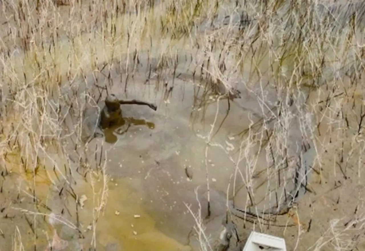 Pescador passa 3 dias atolado em buraco após seca de rio no Amazonas