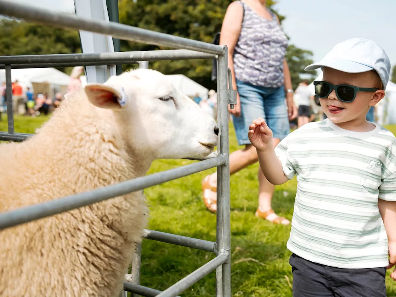 In pictures: The best of the Burwarton Show in Bridgnorth celebrating the countryside