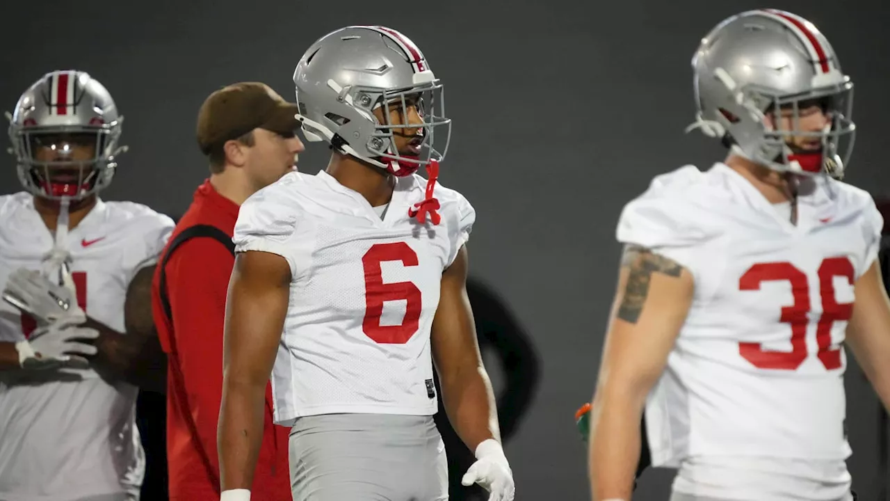 2 Ohio State Linebackers Reportedly 'Neck And Neck' In Starting Competition