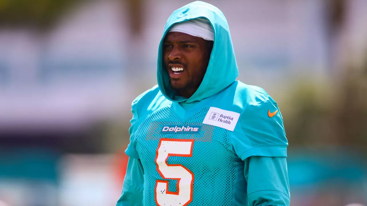 Miami Dolphins Camp: Day Eight Practice Report