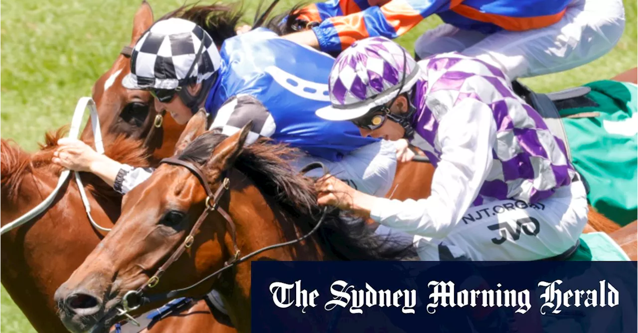 Race-by-race preview and tips for Rosehill on Saturday