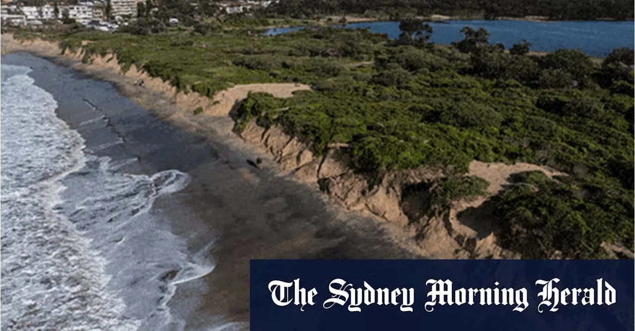 ‘Unusual’ winter swells erode Sydney beaches and sand dunes