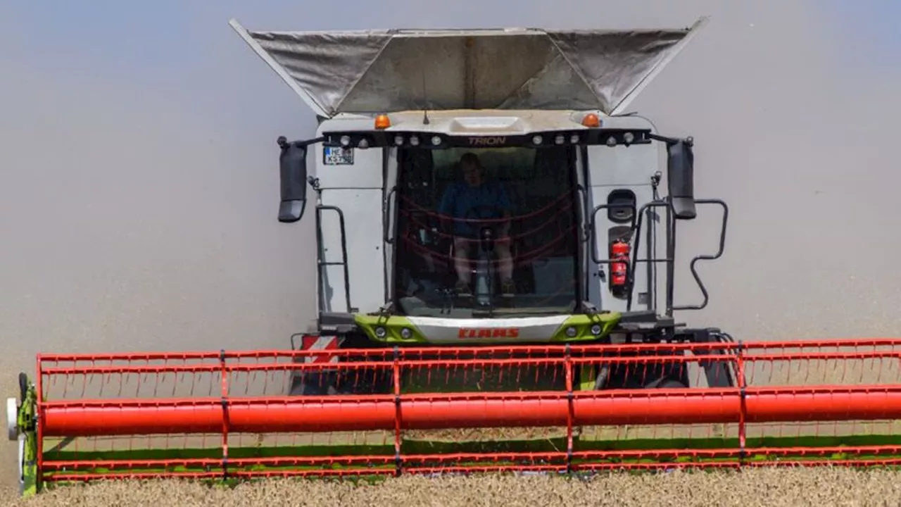 Agrar: Landwirte unzufrieden mit der Ernte