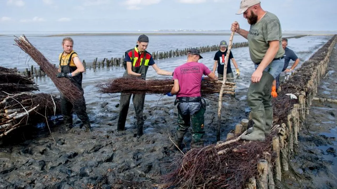 Ausbildung im Wattenmeer: Wasserbau-Azubis lernen Küstenschutz in Ostfriesland