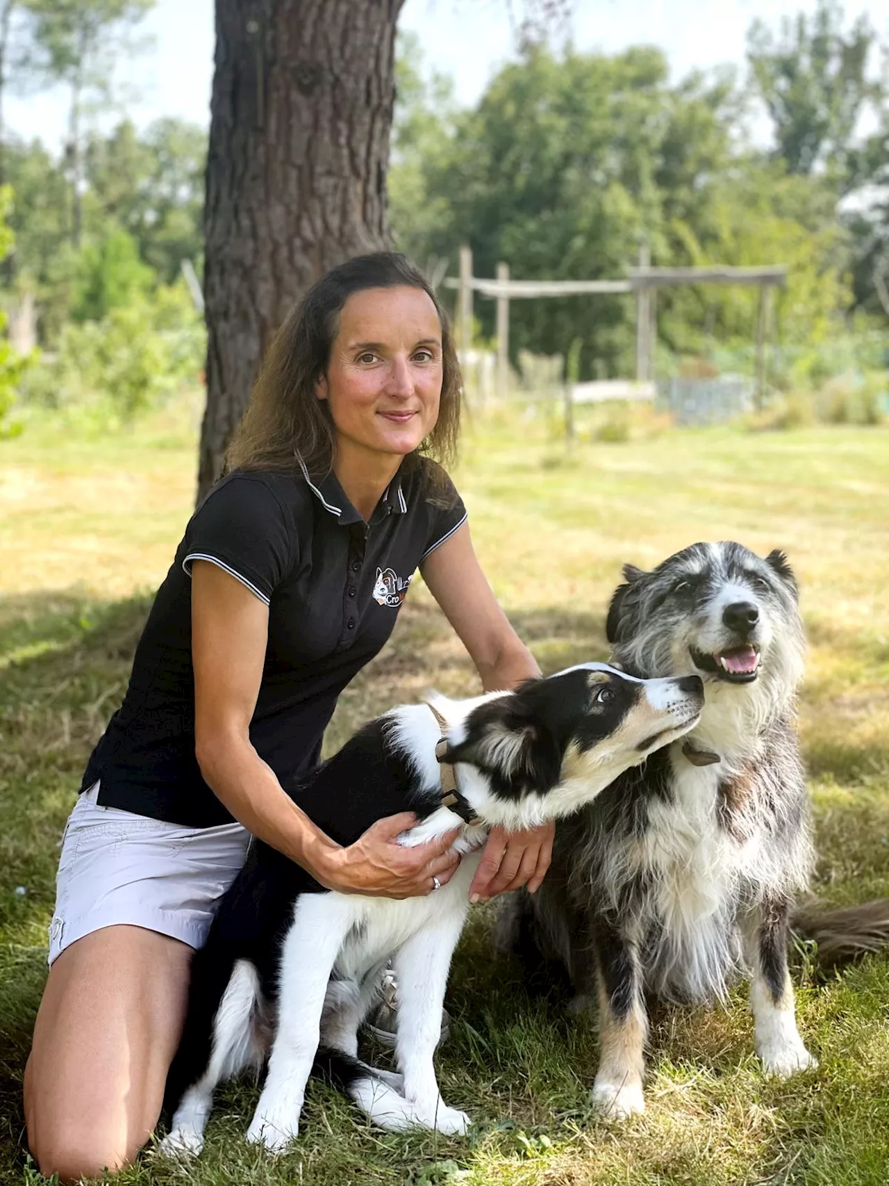 Dordogne : depuis treize ans, cette « colo canine » séduit les maîtres et leurs bêtes