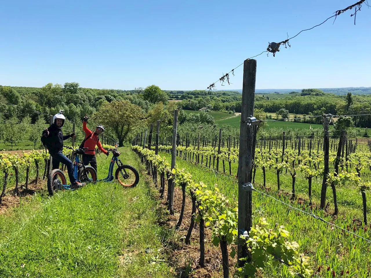 Dordogne : six façons de découvrir le vignoble de Bergerac autrement, cet été