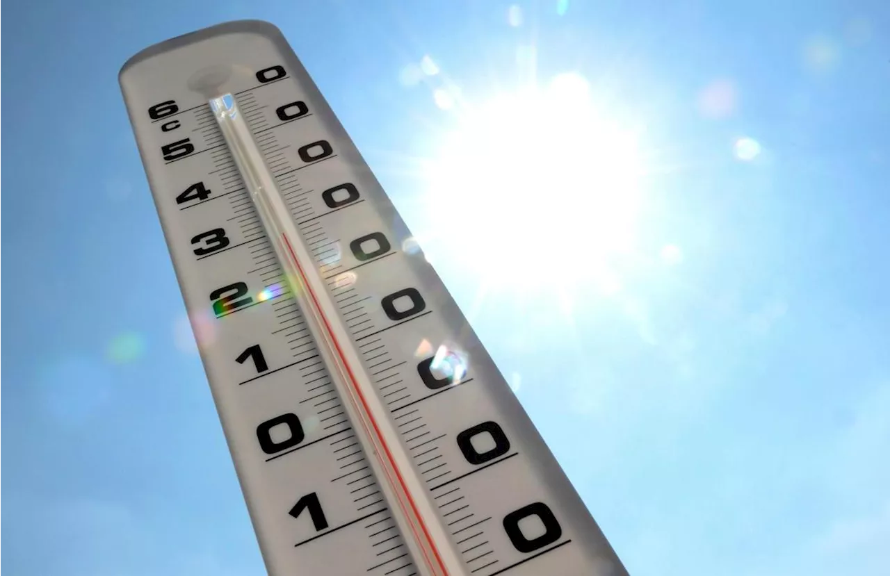 L’éphéméride du 2 août : en 2003, début d’une canicule sans précédent en Europe