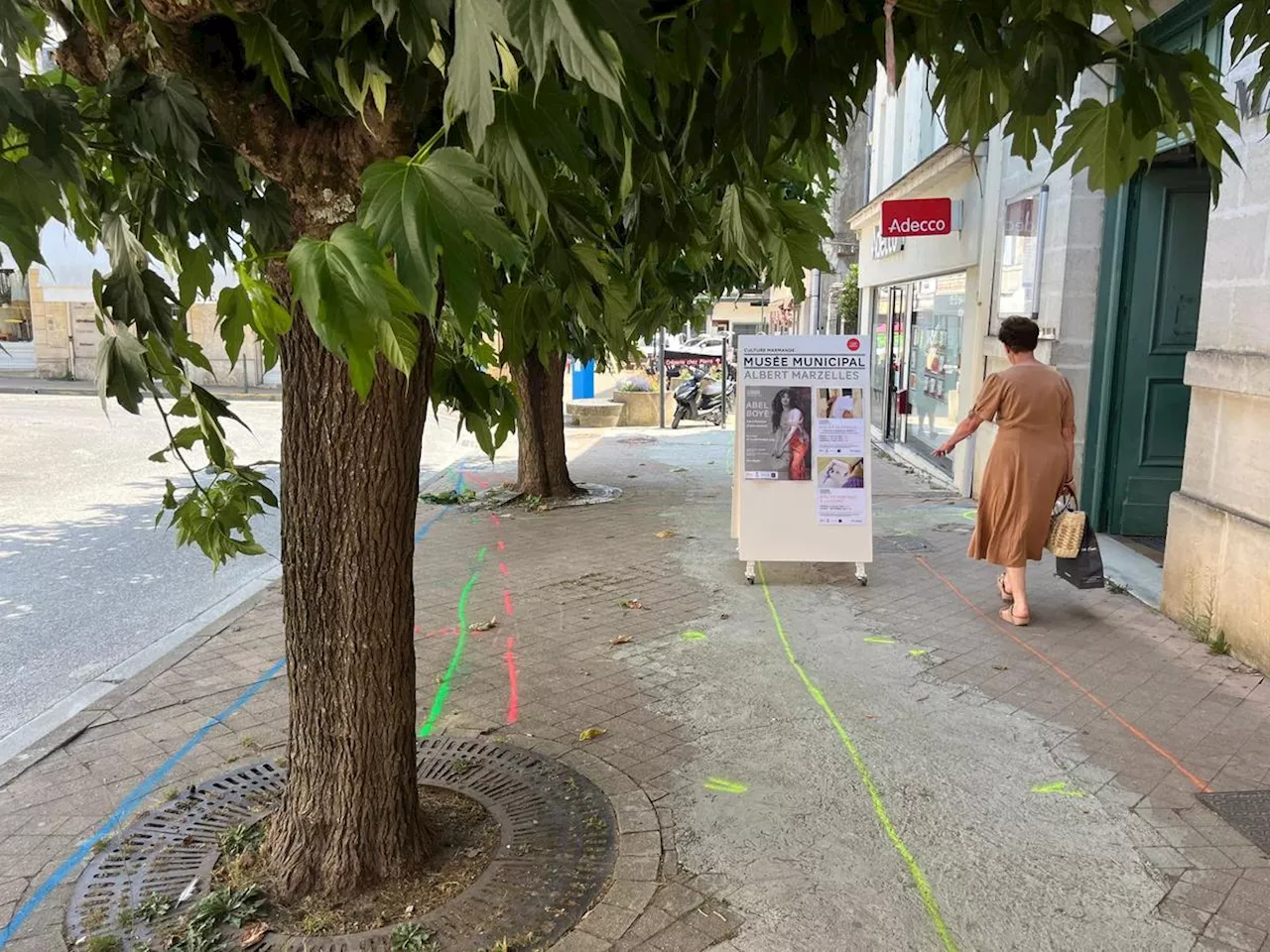 Marmande : inquiétude autour des mûriers platanes de la rue Abel-Boyé