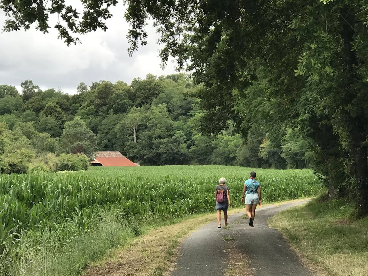 Vacances sportives en Charente-Maritime : découvrez le GR 360, une randonnée XXL