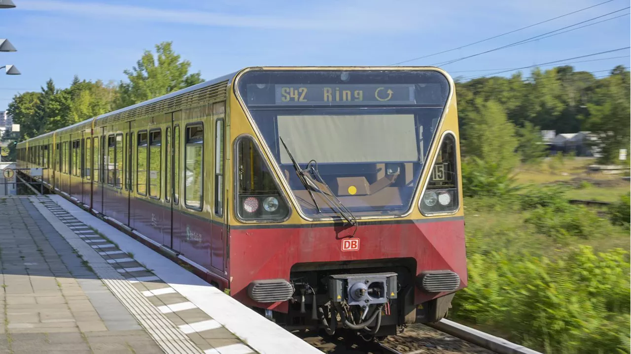 Grünes Licht für Berliner Ringbahn: S41 und S42 fahren nach Kabelbrand wieder ohne Unterbrechung