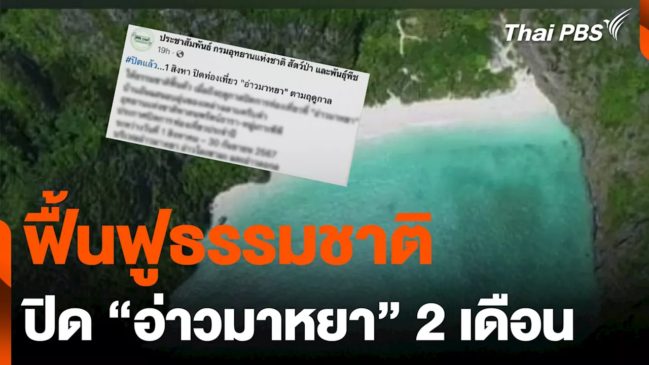 ปิด “อ่าวมาหยา” 2 เดือน ฟื้นฟูธรรมชาติ | Thai PBS รายการไทยพีบีเอส