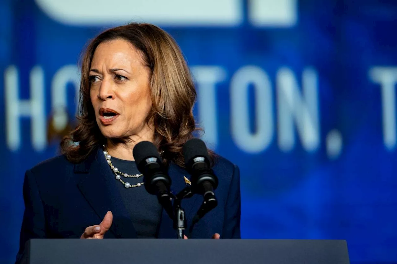 Trump revives 'birtherism' as Harris gains in polls