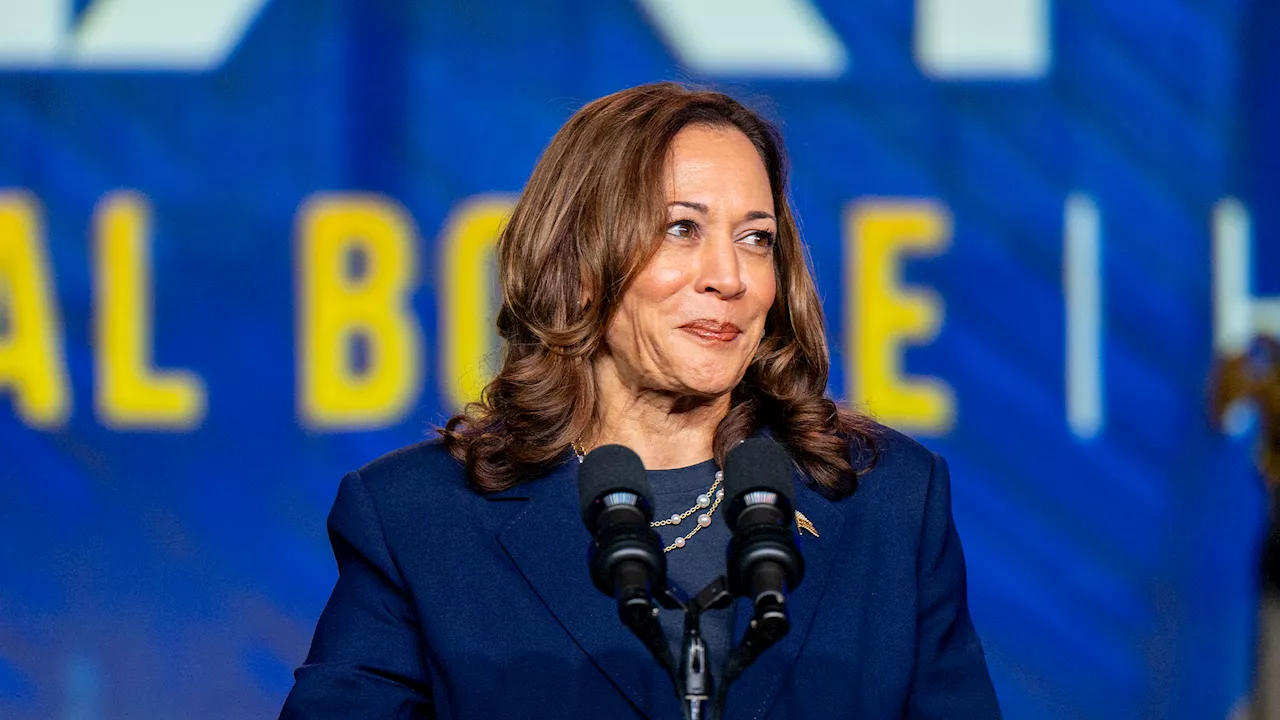 Kamala Harris officially secures Democratic nomination for president in unprecedented process after Biden...