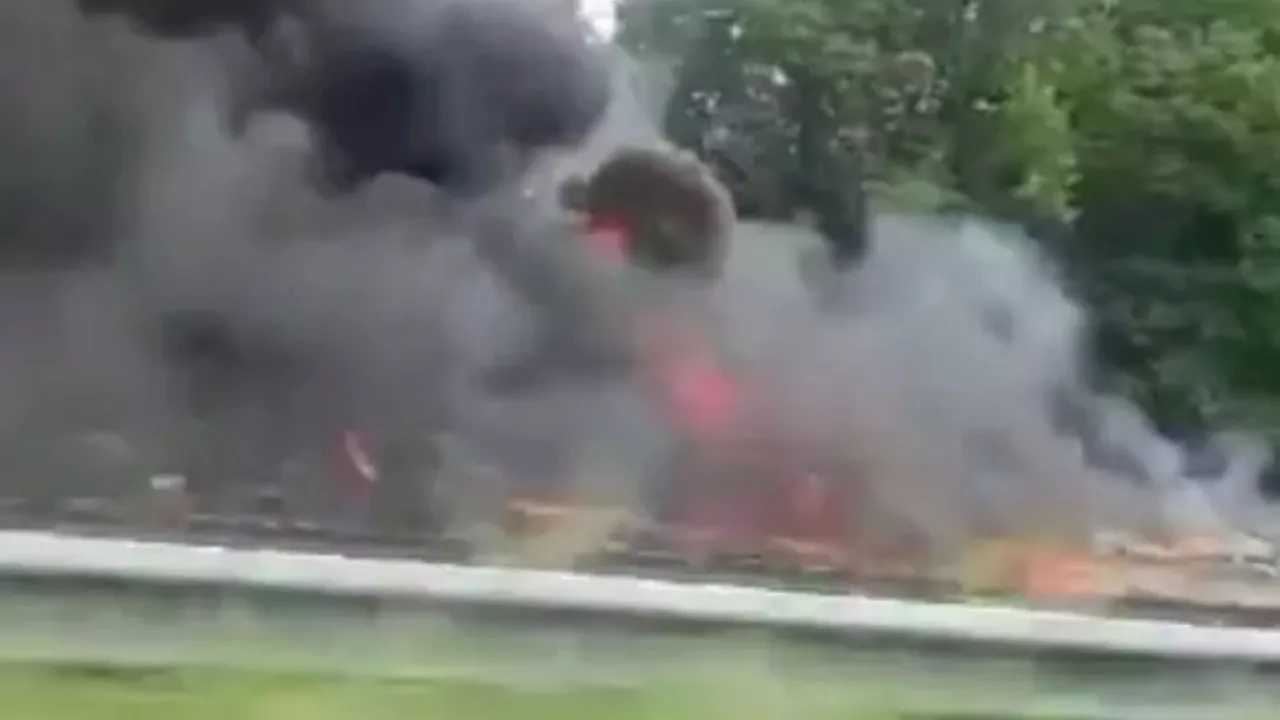 Plane crashes into motorway in huge fireball killing pilot as horrified drivers watch on in Netherlands...