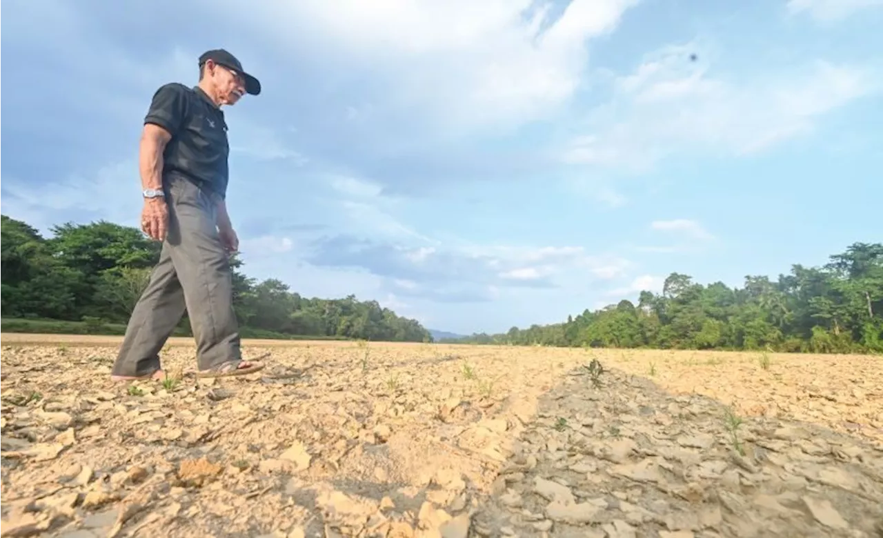 Hujan sekejap tidak mampu pulihkan paras sungai, empangan