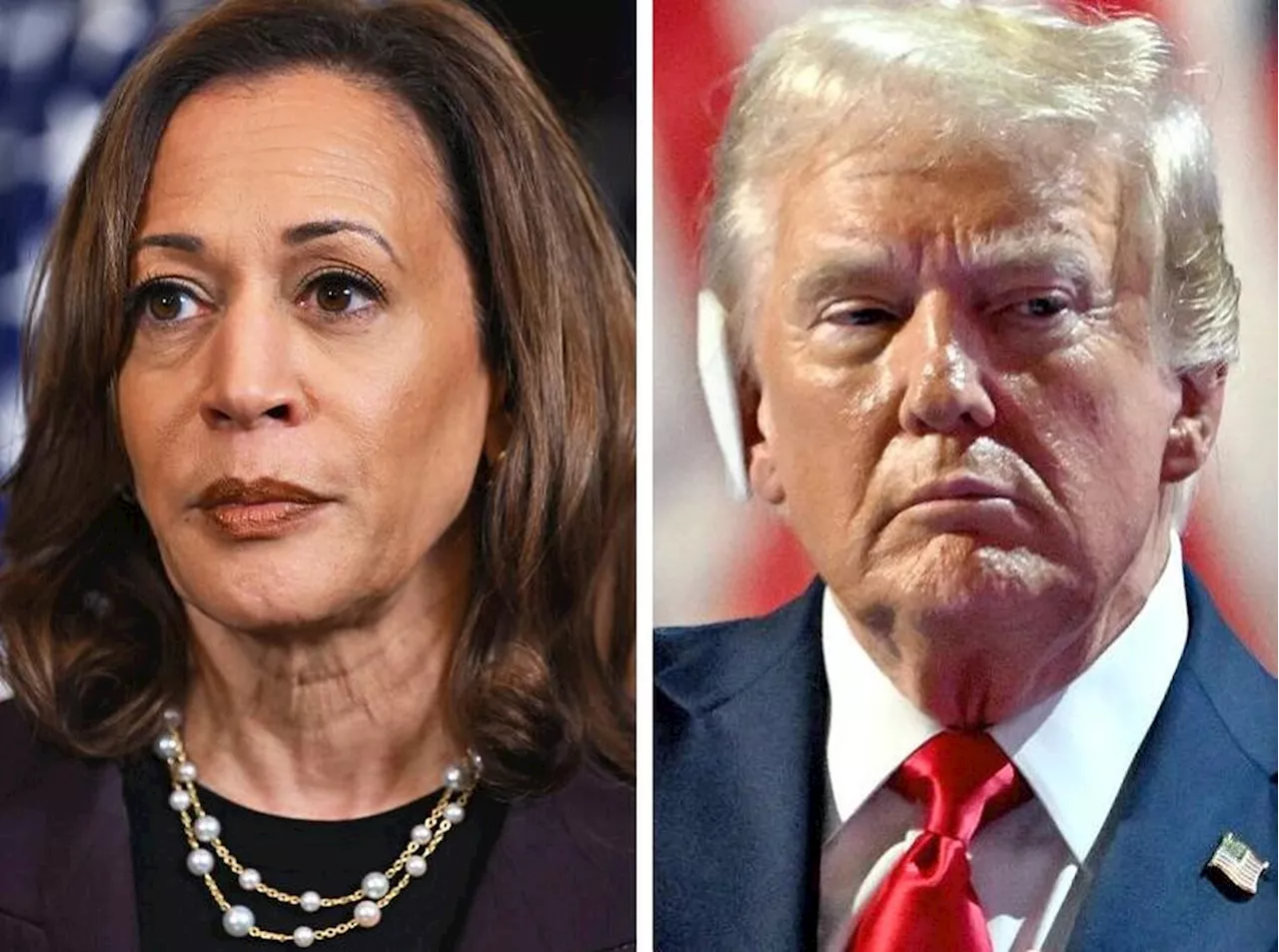 Quem é melhor para o setor de petróleo, Trump ou Kamala?