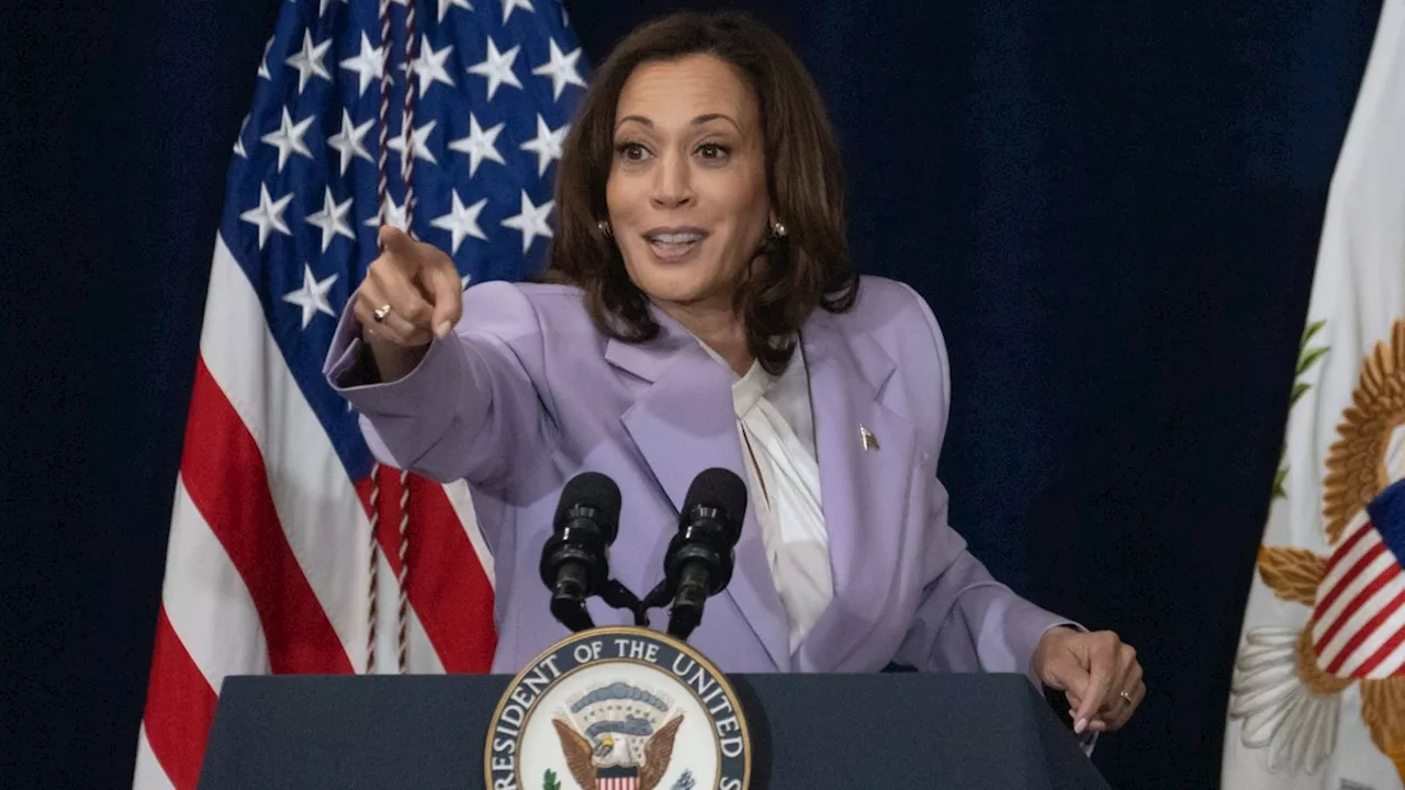 News des Tages: Kamala Harris hat nötige Stimmen für Kandidatur bei US-Wahl