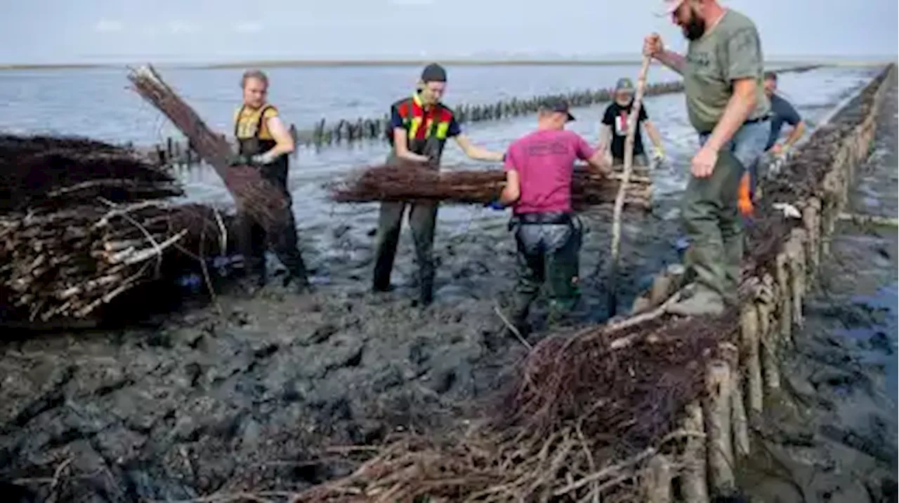 Wasserbau-Azubis lernen Küstenschutz in Ostfriesland