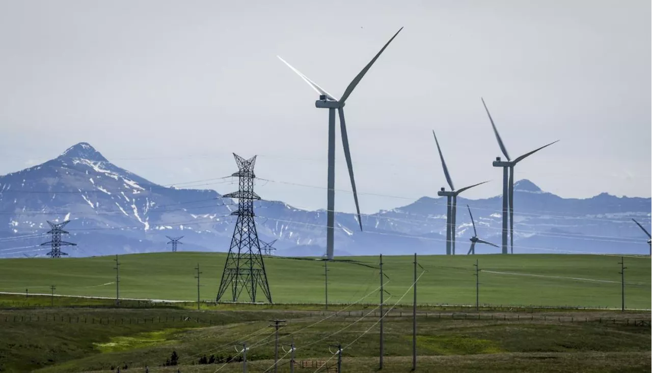 Alberta renewable energy pause has left legacy of cancelled development: study