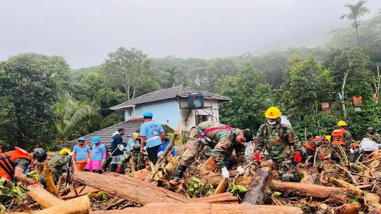 Wayanad Landslide: മരണം 291, 240 പേരെ കാണാനില്ല; ഇന്ന് 40 ടീമുകൾ 6 സെക്ടറുകളായി തിരച്ചിൽ നടത്തും