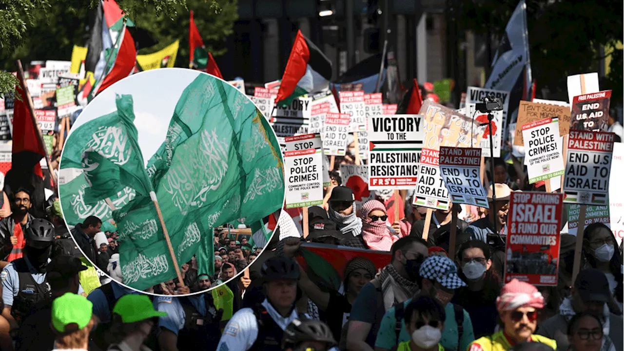 Hamas supporter at DNC rally claims 'every Palestinian' backs terrorist group