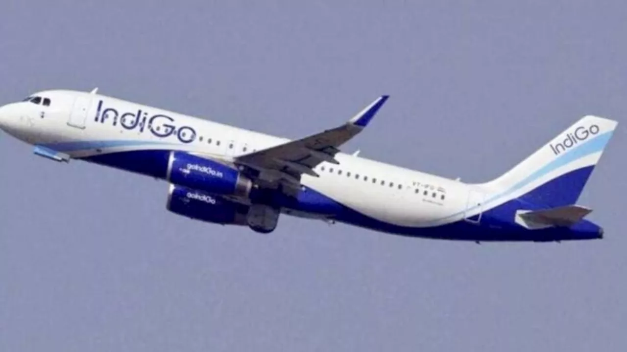 'Cute' होने पर लगेगा चार्ज? IndiGo से सोशल मीडिया यूजर ने सवाल पूछकर छेड़ दी बहस