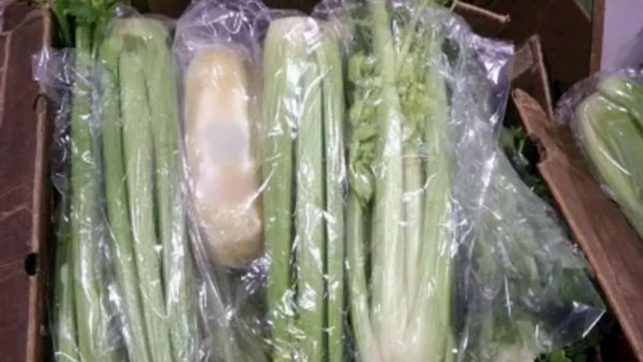 Over 600 pounds of methamphetamine found inside celery shipment