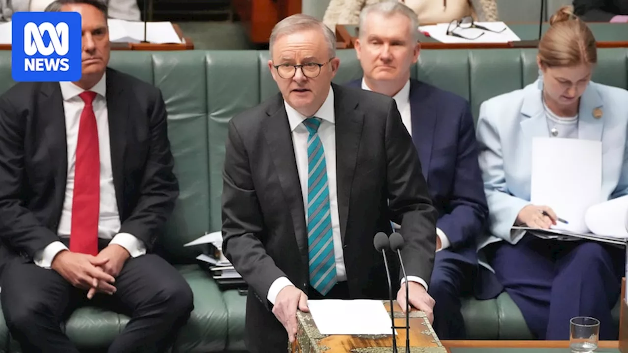 Federal politics live: Albanese urged to allow conscience vote on gambling as Question Time heats up