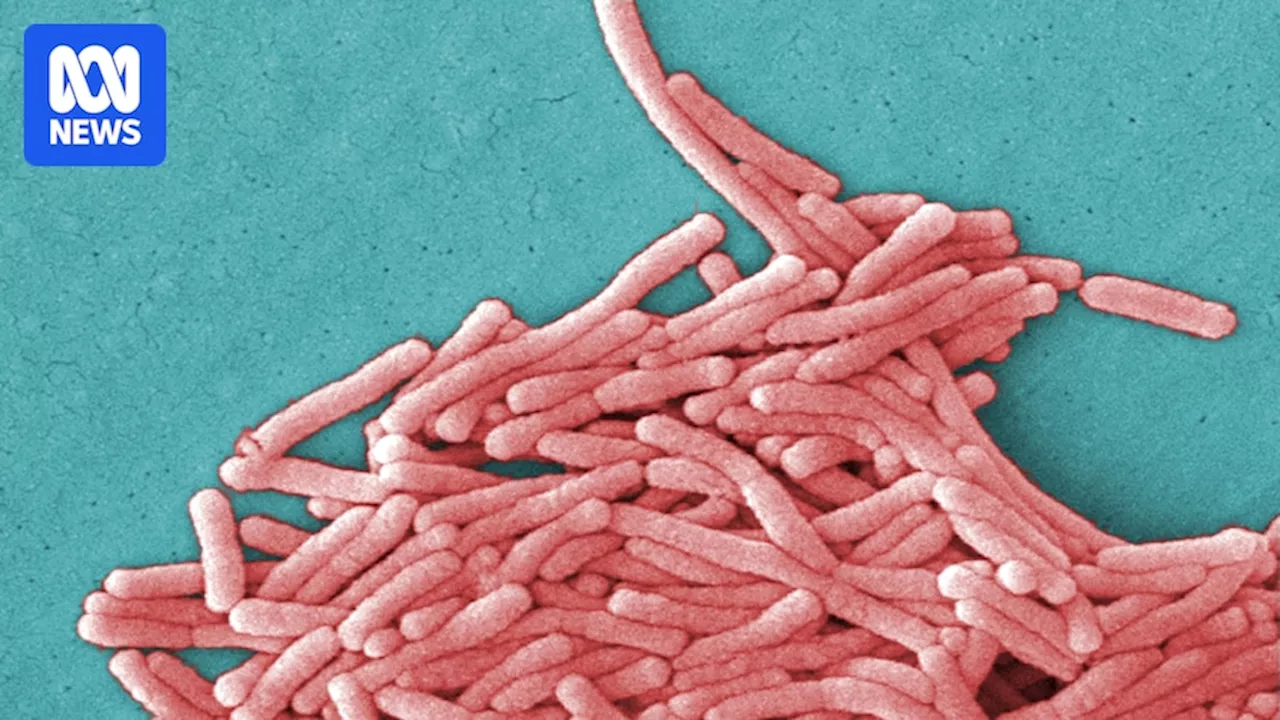 Legionnaires' disease is becoming more common in Australia. What's behind the increase in cases?