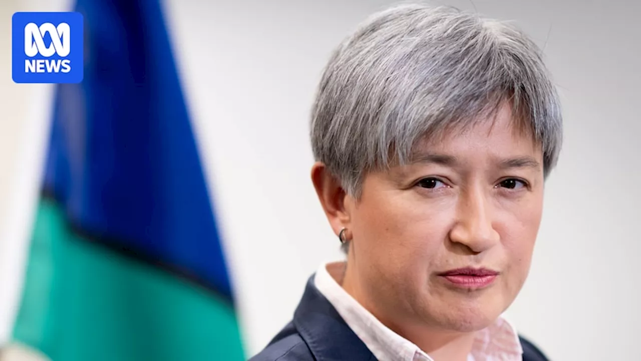 Penny Wong details 'daunting' experience of being first Asian-Australian minister, in rare personal speech