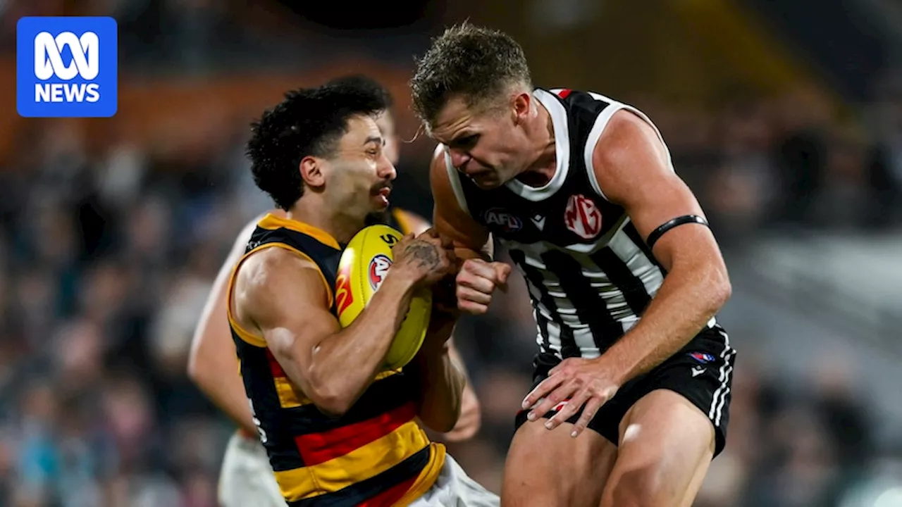 Port Adelaide star Dan Houston handed five-match ban at AFL Tribunal for brutal hit on Izak Rankine