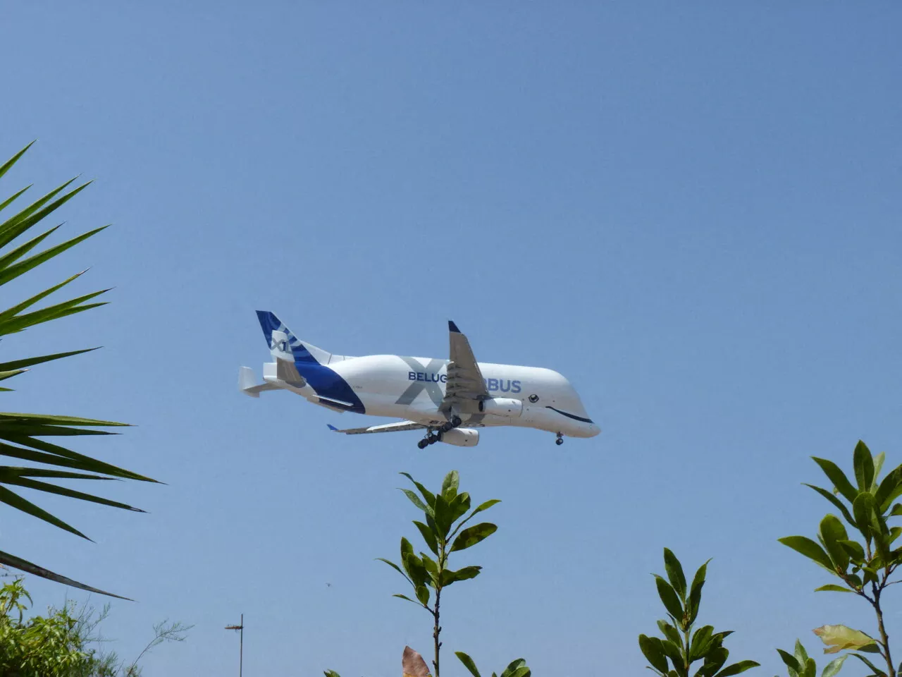 Il a une forme étonnante : cet avion bien connu a encore survolé Perpignan à basse altitude