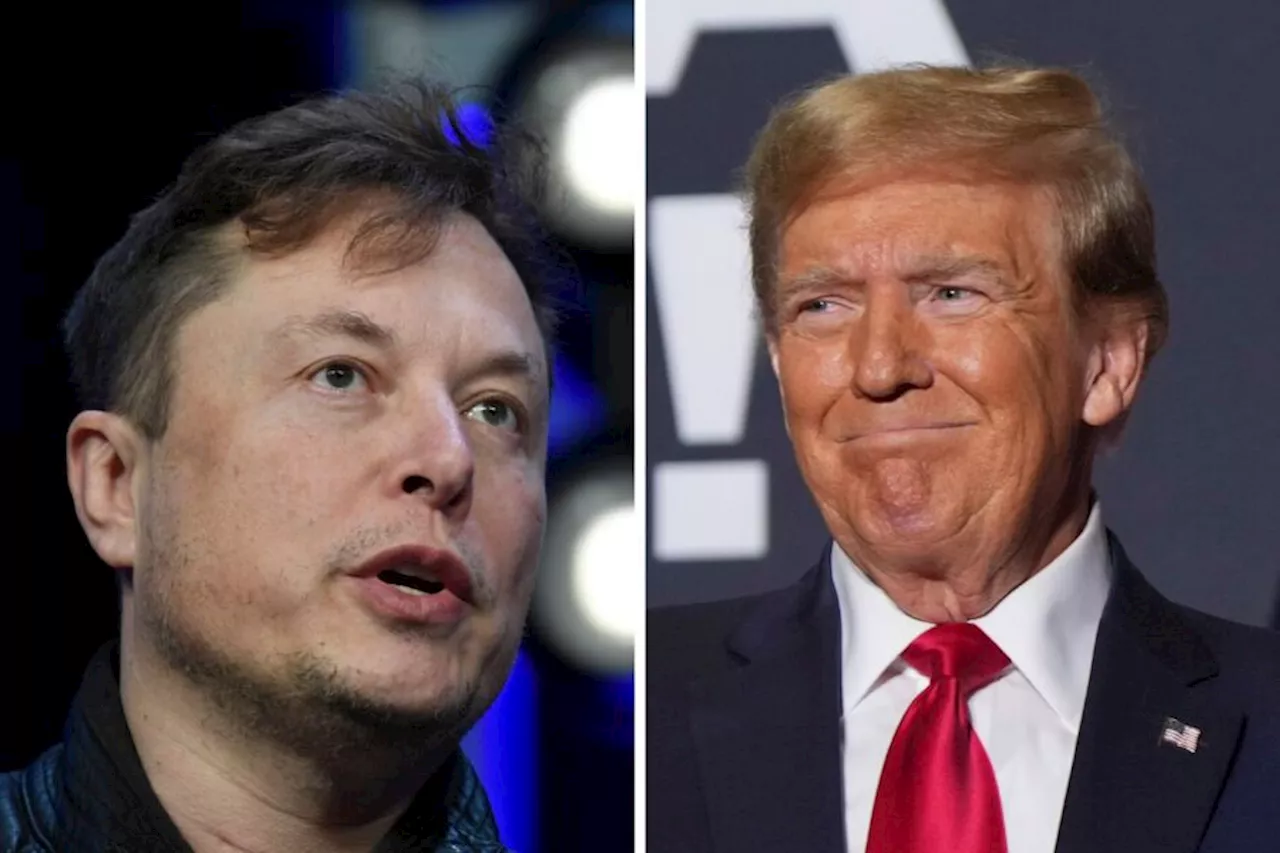 Donald Trump öppnar för att ha Elon Musk i regeringen